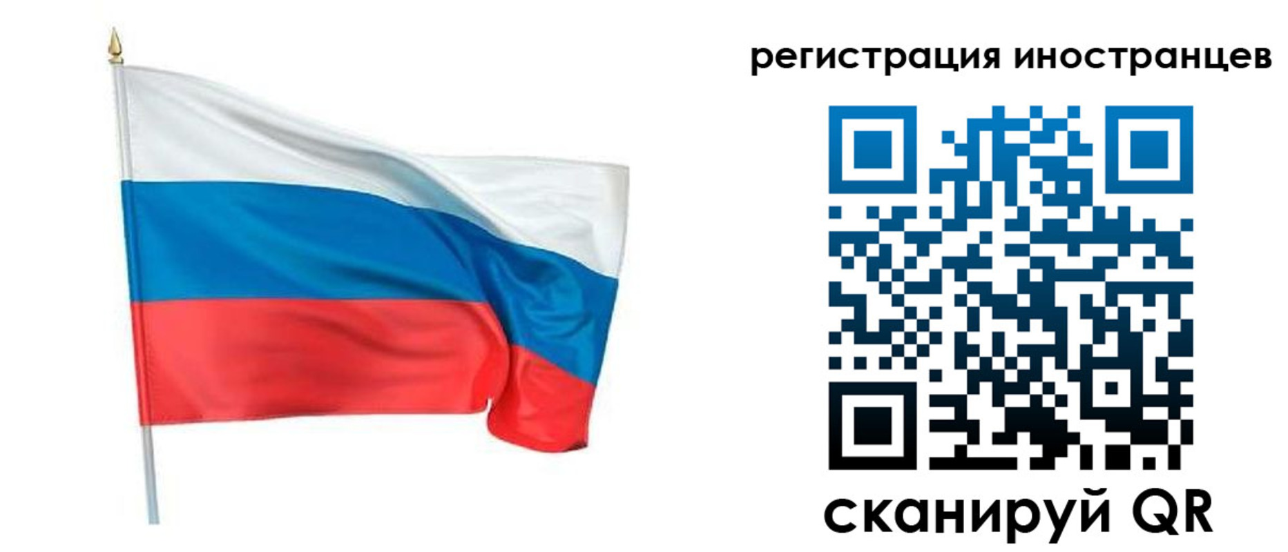 прописка 2025 в Светогорске